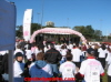 Run for the Cure 05
