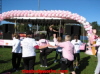 Run for the Cure 12