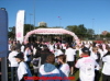 Run for the Cure 14