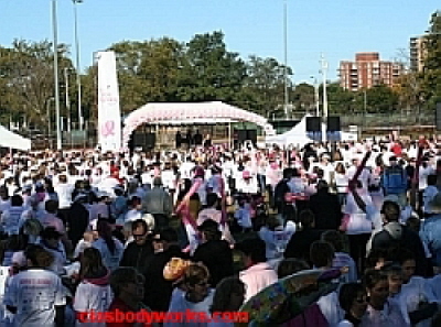 Run for the Cure 17